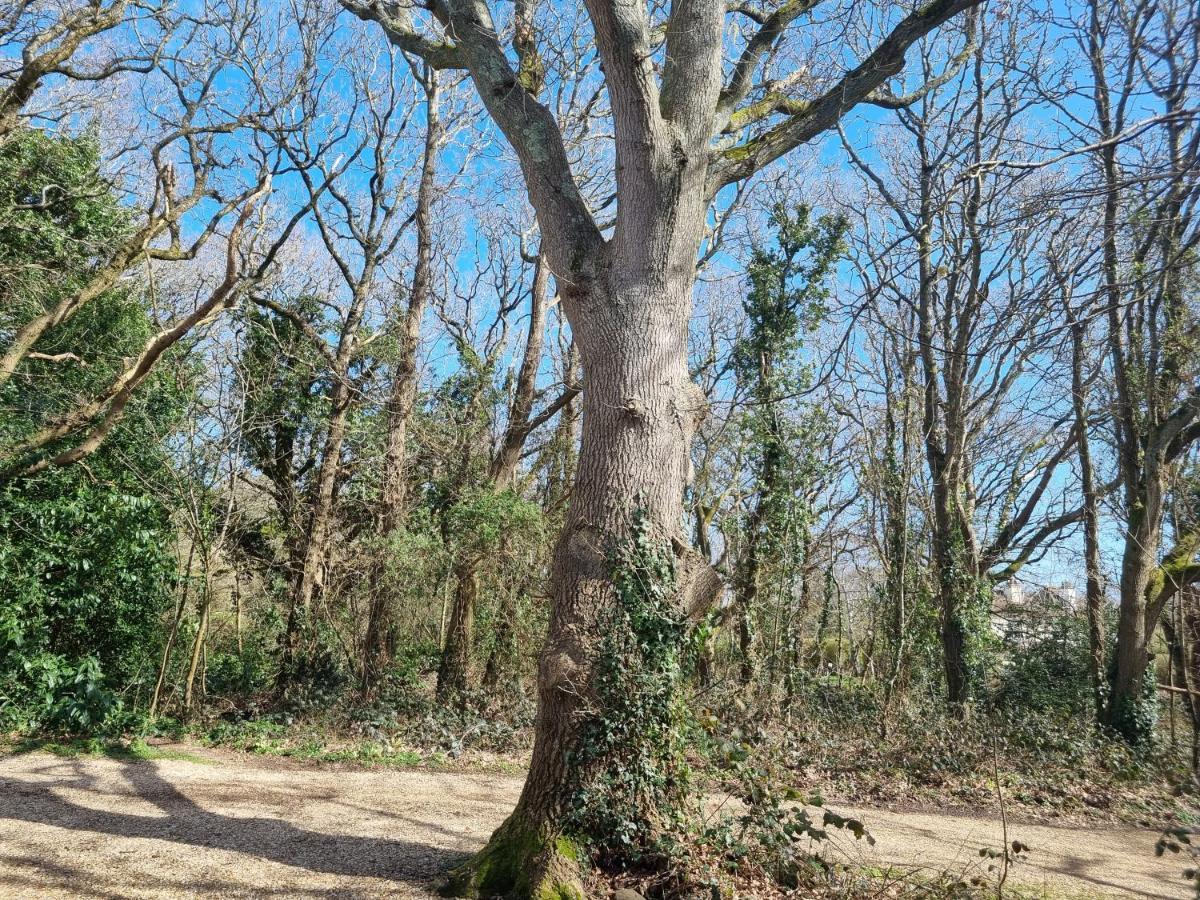 Appartement The Annexe - Woodland Views And Close To Beach! à Barton on Sea Extérieur photo